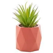 Cachepot Rojemac 61581 Suculenta Diamond Salmao