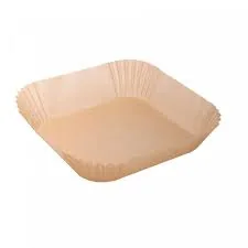 Forma Lyor  5394 Descartavel  Air Frye Quadrada