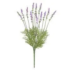 Planta Florarte B.lavanda Powder Lavanda 48cm