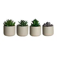 Vaso Paramount Suculenta Art Dolomita