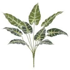 Planta Florarte Alocasia Forracao C/uv Real Vd