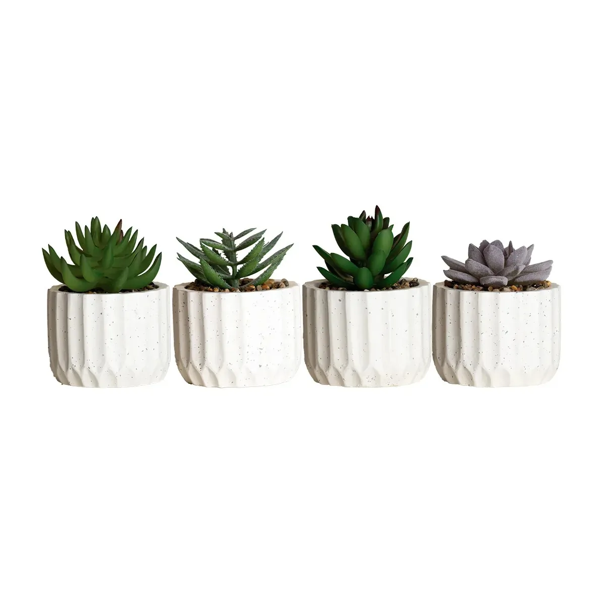 Vaso Paramount Suculenta  7.5x11.3cm  2267/2268