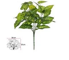 Planta Florarte Caladium Forracao Real Verde 30cm