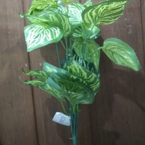 Planta Florarte Coleus Forracao Real Vd Creme 30cm