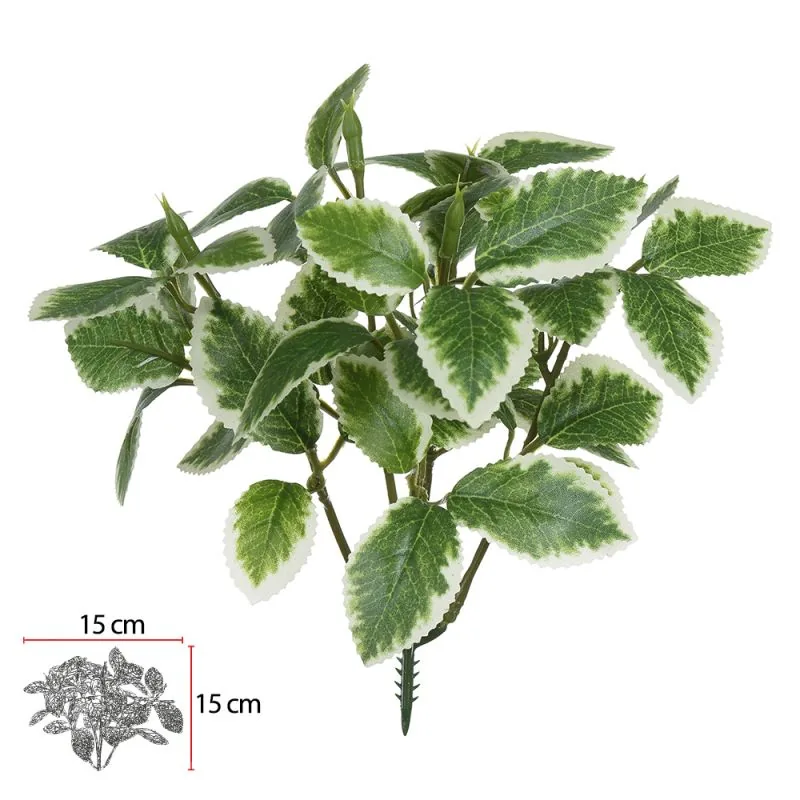 Planta Florarte Coleus Pick Vd Creme 55581-003