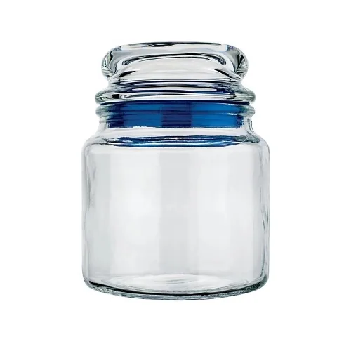 Pote Euro Vdr1044 Vidro Multiuso 560ml Azul