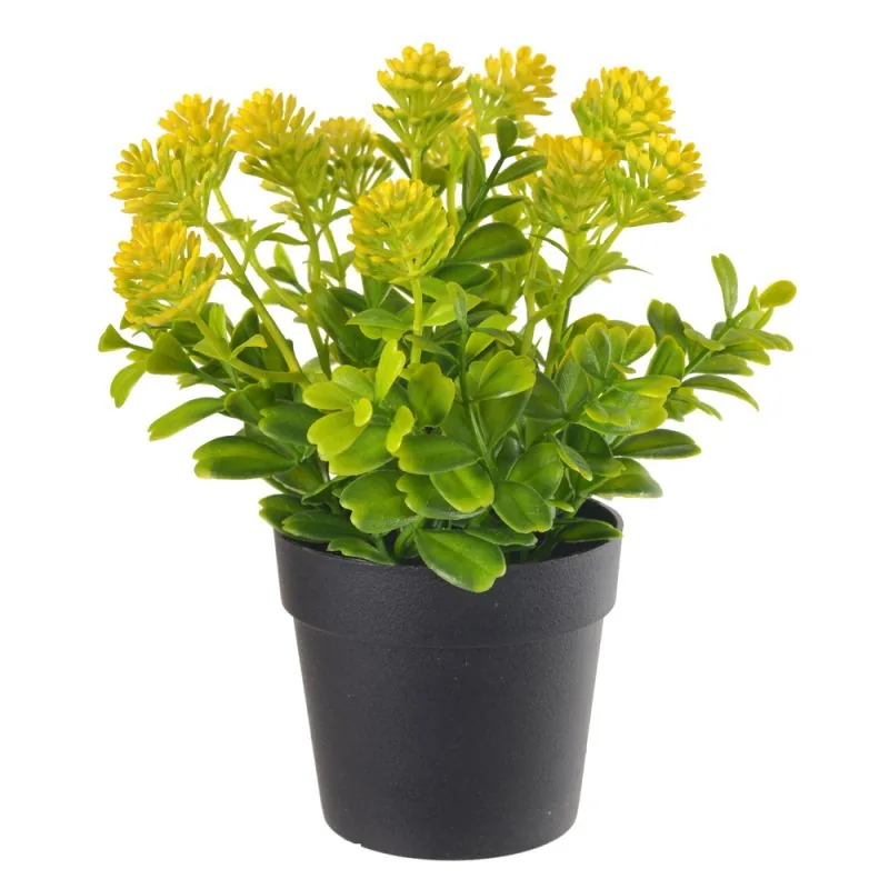 Planta Florarte Sementinha C/pote X15 Amarelo 20cm