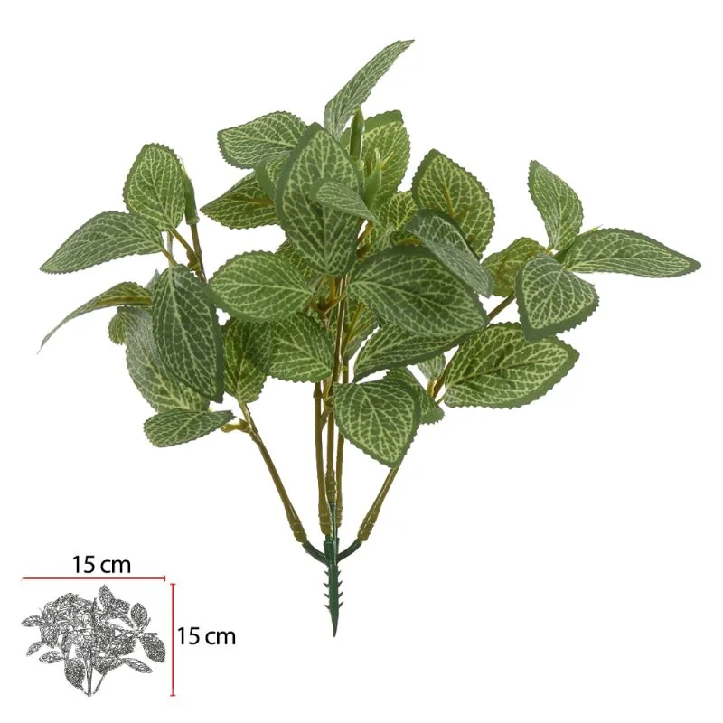 Planta Florarte F.coleus Forracao X15 Vd Bco 16cm