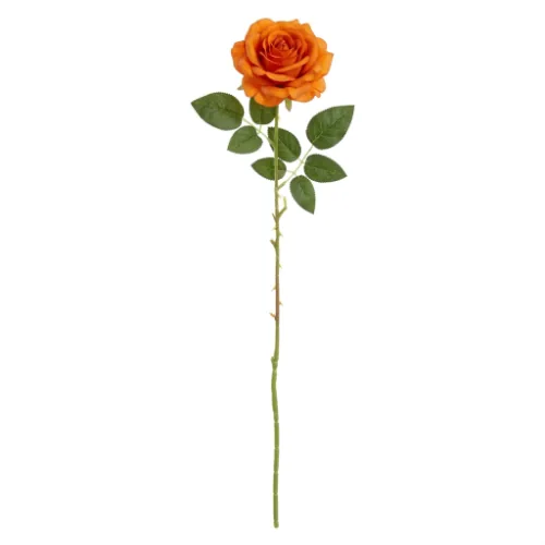Planta Florarte Rosa Aveludado Laranja 55548-004