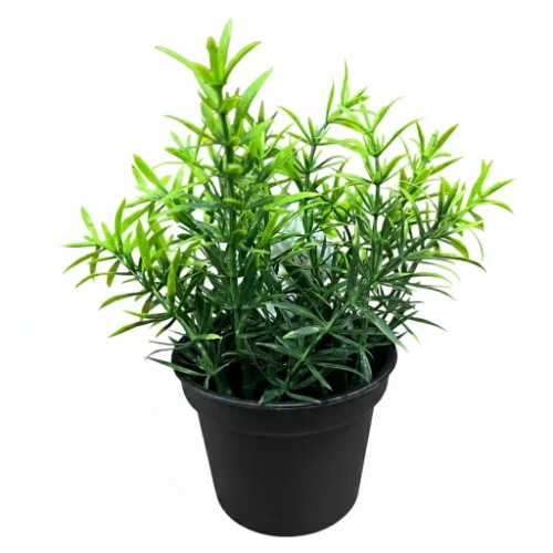 Planta Florarte F.grass C/pote Verde 85127-001