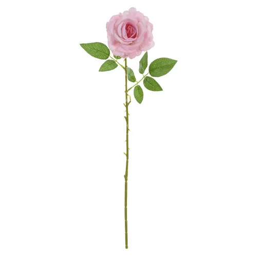 Planta Florarte Rosa Aveludado Rosa 57376-004