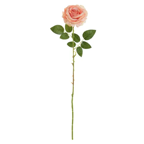 Planta Florarte Rosa Aveludado Pessego 57376-005