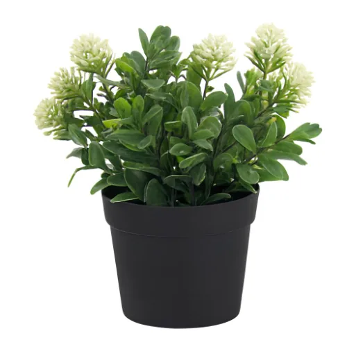 F.sementinha C/pote X15 (branco) 20cm (florarte) V