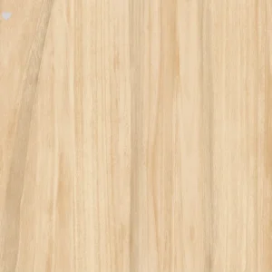 Piso Formigres 60x60 Palermo Bg Retificado