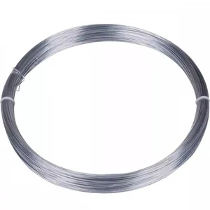 Arame Sm Inox Bwg 20 C/500 Gramas