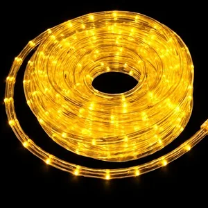 Mangueira Initial Luminosa Led Am 220v Mt