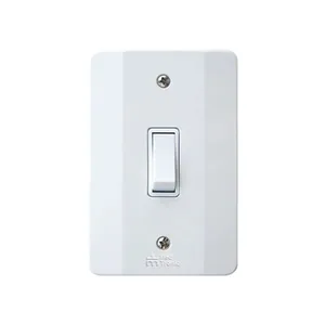 Interruptor Mec Tronic 21001 Simples 10a C/p
